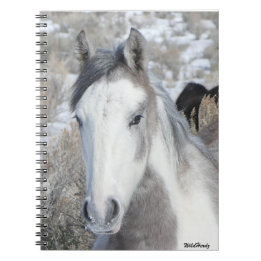 Kattunge Notebook Anteckningsbok