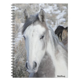 Kattunge Notebook Anteckningsbok