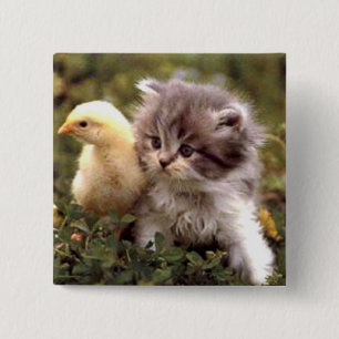 Kattunge- och babychick knapp