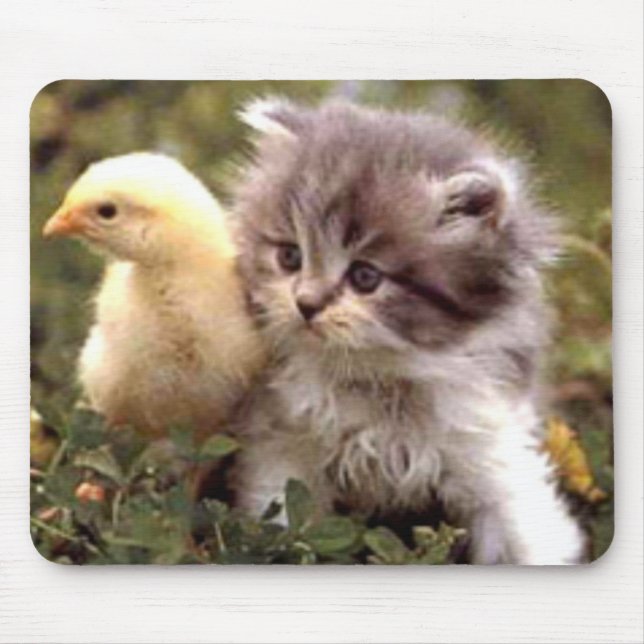Kattunge- och babychick musmatta (Framsidan)