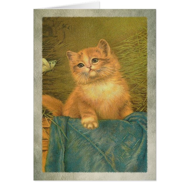 Kattunge och Butterfly Hälsningskort (Framsidan)