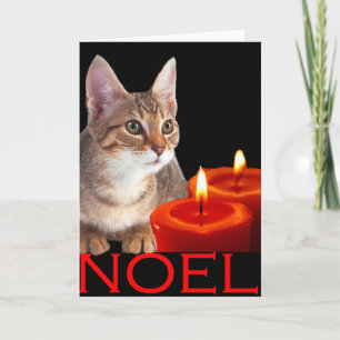Kattunge och ljus helgkort