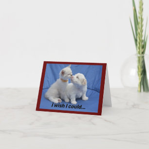 Kattunge och marionettkort kort