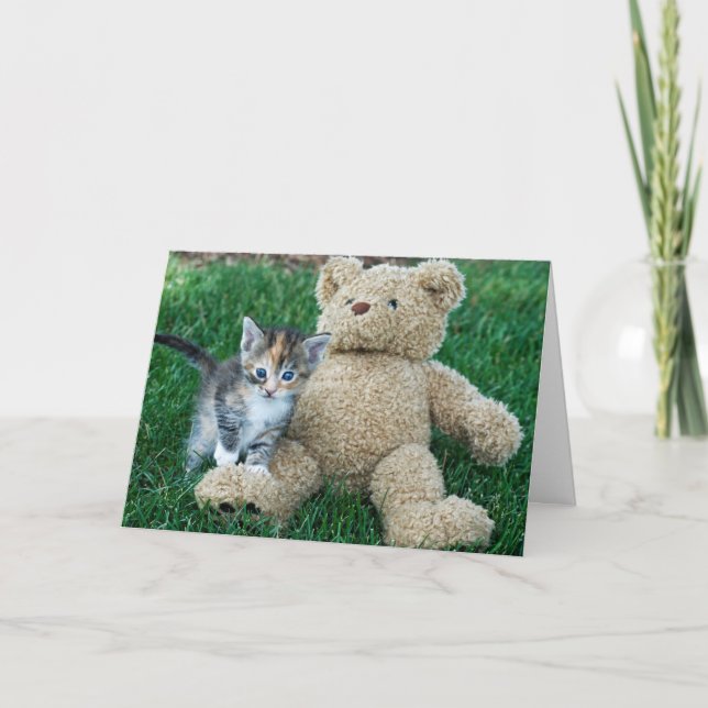 Kattunge och Nalle födelsedag Kort (Framsida)