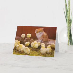 Kattunge- och påskchickar helgkort