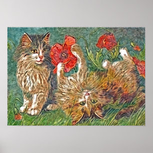 Kattunge och poppies poster