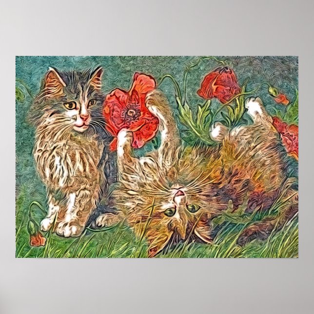 Kattunge och poppies poster (Framsidan)