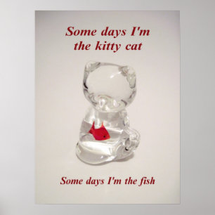 Kattunge och poster fisk