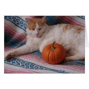 Kattunge och Pumpkin Hälsningskort