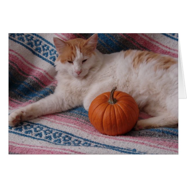 Kattunge och Pumpkin Hälsningskort (Framsidan Horizontal)