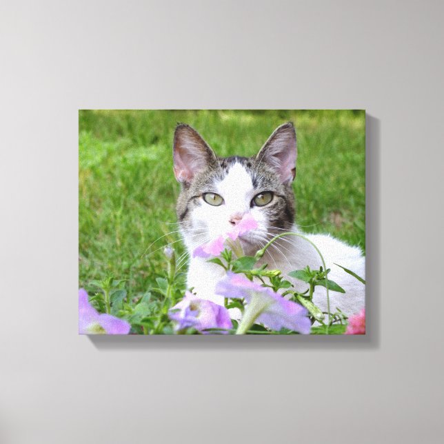 Kattunge och Rosa Petunias Canvastryck (Framsida)