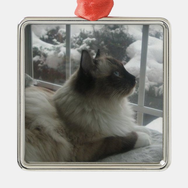 Kattunge Ornamen för Ragdoll Himalayan kattjulsnö Julgransprydnad Metall (Framsidan)