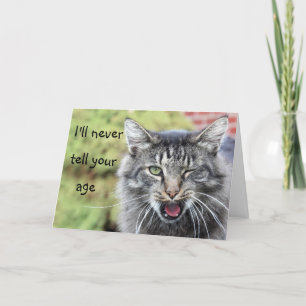 Kattunge över backe-födelsedagen kort