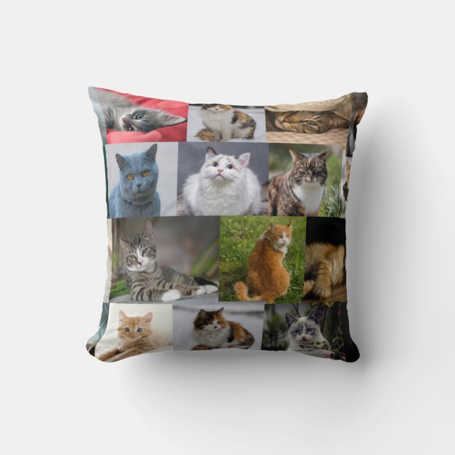 Kattunge överallt kudde (Framsida)
