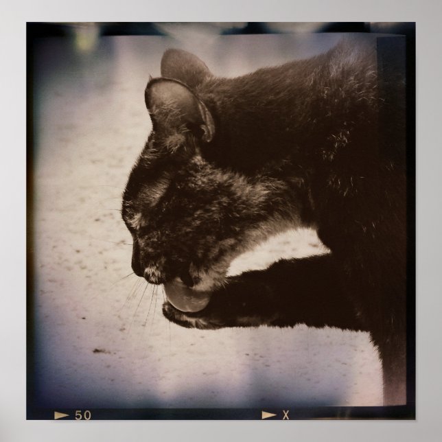 Kattunge på film, digital konst poster (Framsidan)