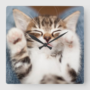 Kattunge på min varv fyrkantig klocka