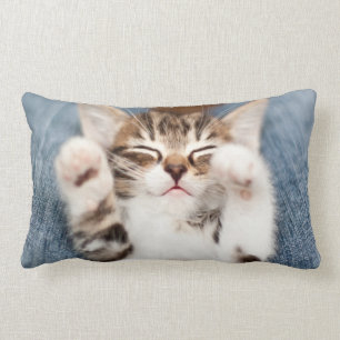Kattunge på min varv lumbarkudde