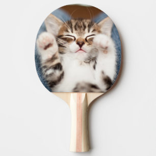 Kattunge på min varv pingisracket