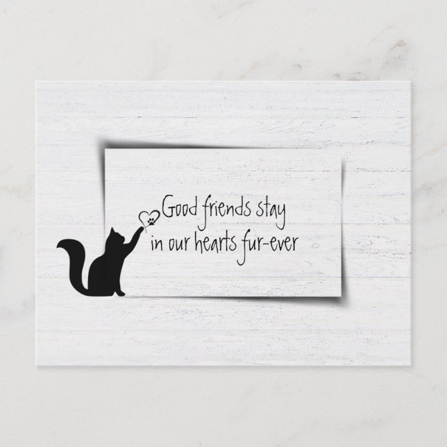 Kattunge Pet-förlustsympati från veterinär Vykort (Framsida)