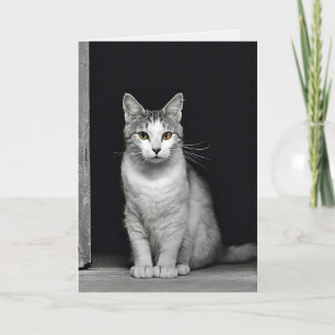 Kattunge Pet-förlustsympati Kort