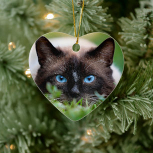 Kattunge Pet Memorial med Namn och Photo Julgransprydnad Keramik