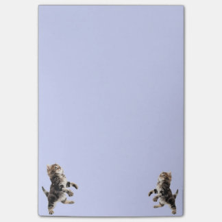 Kattunge postar det noterar post-it block