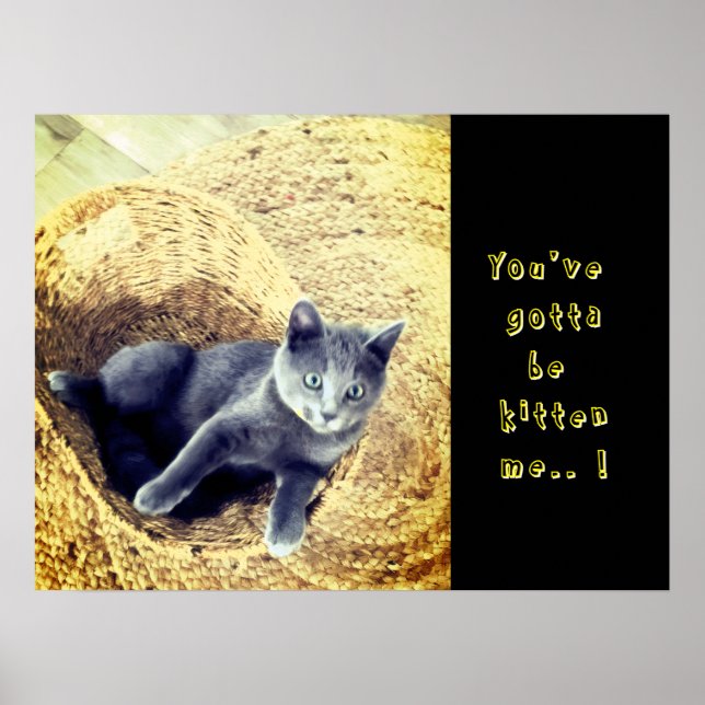 Kattunge  poster (Framsidan)