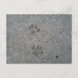 Kattunge Prints Vykort
