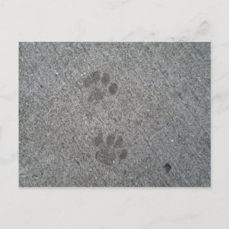 Kattunge Prints Vykort