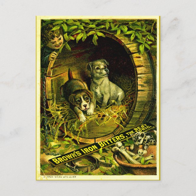 Kattunge ringer vykort (Framsida)