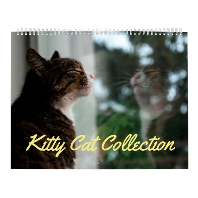 Kattunge samlingskalender (stor) kalender (Omslag)