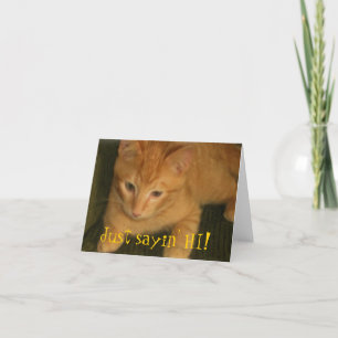 Kattunge: "Sayin'HI!" Kort för hälsning