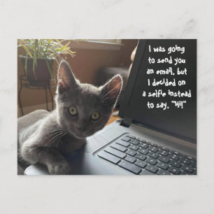 KATTUNGE SELFIE HEJ VYKORT