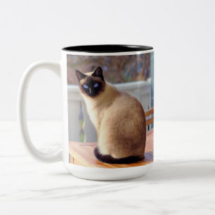 Kattunge Siamese Två-Tonad Mugg