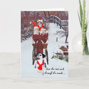 Kattunge Sleigh Ride Helgkort