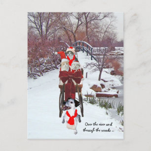Kattunge Sleigh Ride Vykort