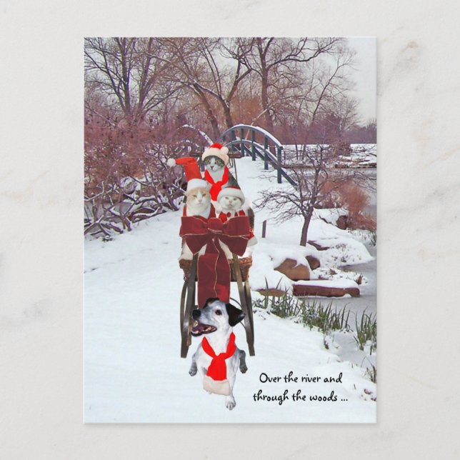 Kattunge Sleigh Ride Vykort (Framsida)