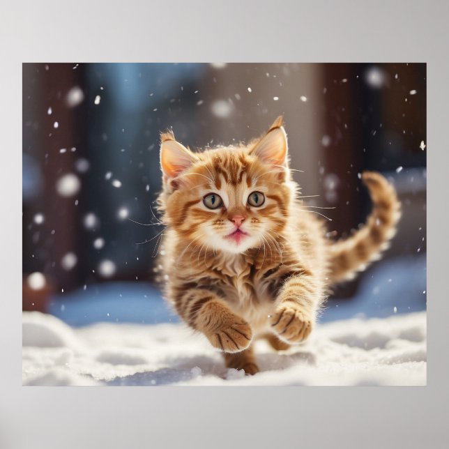 *~* Kattunge Snö Tävling 5:4 Kitten Katt AP68 Poster (Framsidan)
