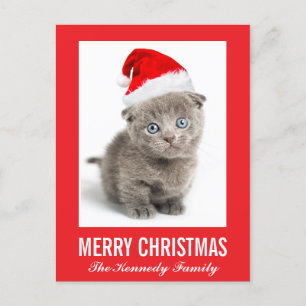 Kattunge som ha på sig en Santa hatt Helg Vykort
