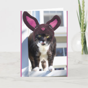 Kattunge som ha på sig kaninöron helgkort