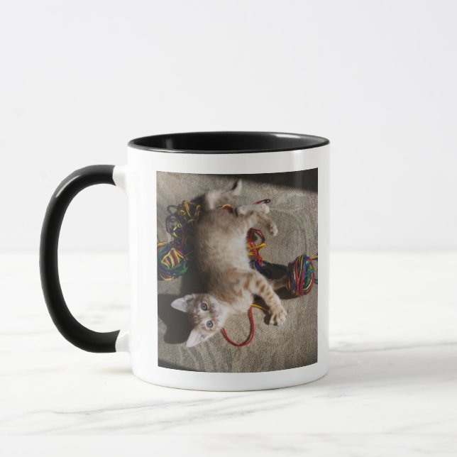 Kattunge som leker med garn mugg (Vänster)