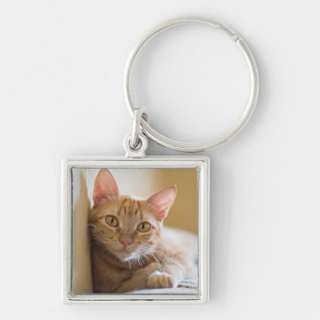 Kattunge som ljuger på soffan fyrkantig silverfärgad nyckelring (Framsidan)