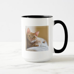 Kattunge som ljuger på soffan mugg