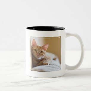 Kattunge som ljuger på soffan Två-Tonad mugg