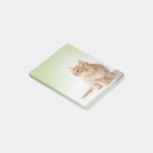 Kattunge som Posta-Det noterar Post-it Block