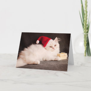 Kattunge som Santa Helgkort