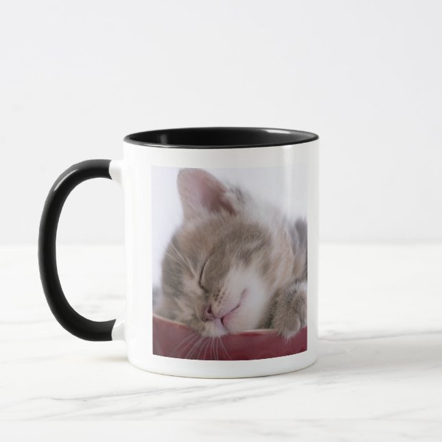 Kattunge som sovar i bunke 2 mugg (Vänster)