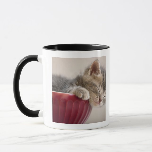 Kattunge som sovar i bunke mugg (Vänster)