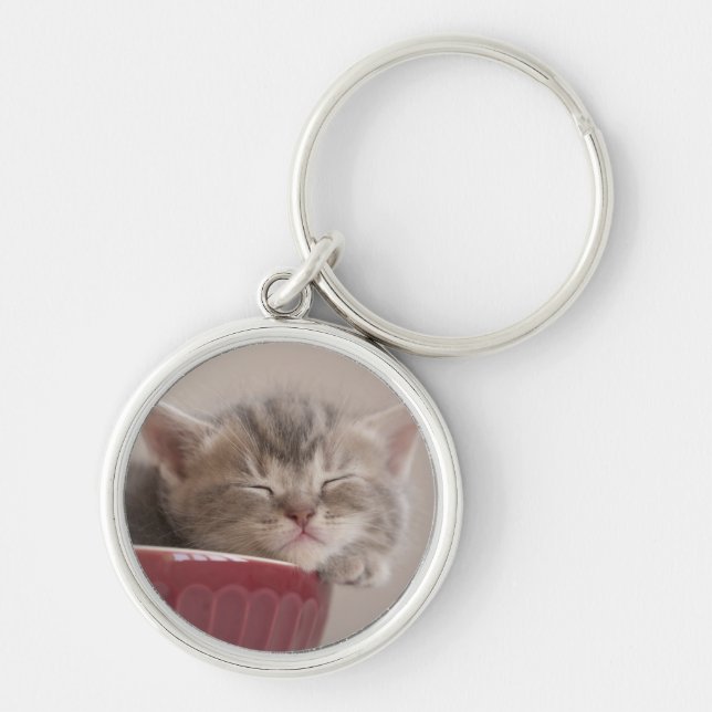 Kattunge som sovar i en bunke rund silverfärgad nyckelring (Framsidan)