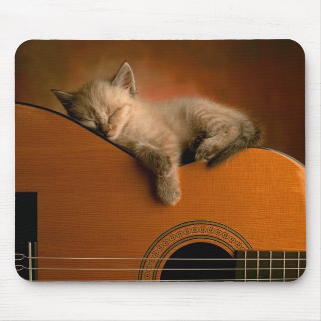 Kattunge som sovar på gitarren Mousepad Musmatta (Framsidan)
